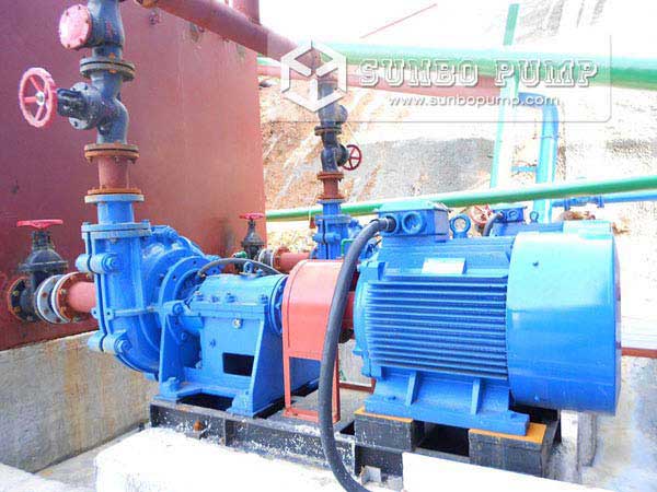 ZJ Slurry Pump in Coal Dressing Plant